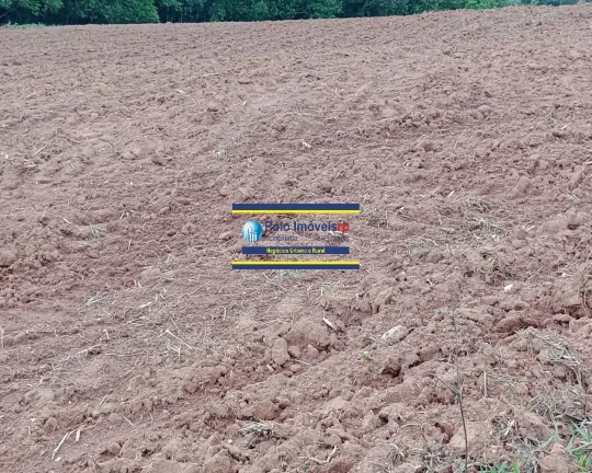 Imagem Sítio 14,5 alqueires para gado, milho, soja em Jacuí Sul de Minas Gerais - possui casa, energia e água.