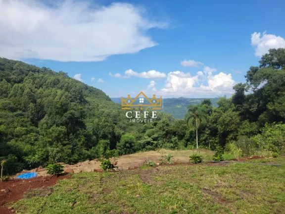 Imagem Chácara - Sítio com 4 Dormitorio(s) localizado(a) no bairro Pinhal Alto em Nova Petrópolis / RIO GRANDE DO SUL Ref.:1548