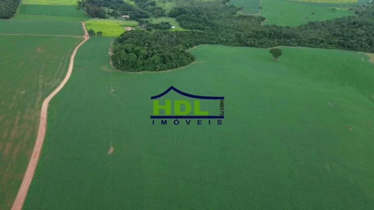 Imagem Fazenda 70 Alqs Dupla Aptidão plantada em Soja em Bela Vista GO