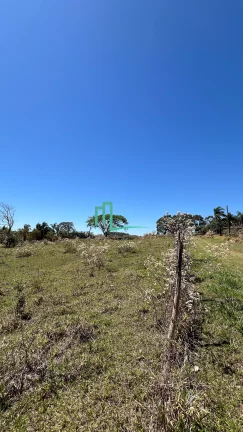 Imagem SITIO COM 20 MIL METROS DENTRO DE FRANCA/SP NO RECREIO CAMPO BELO ASFALTADO ATÉ NA PORTA