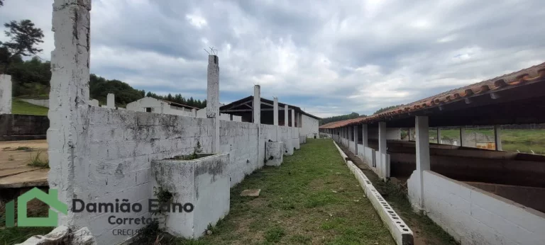 Imagem CHÁCARA À 2 KM DA RODOVIA DOM GABRIEL NO MUNICÍPIO DE ITÚ