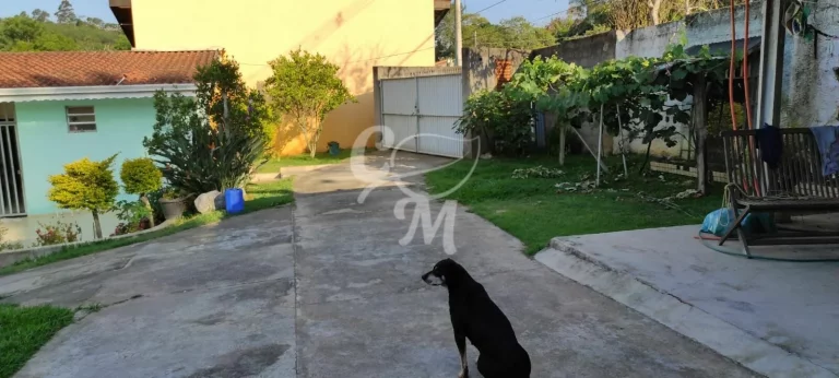 Imagem Chácara com muito verde na Roseira