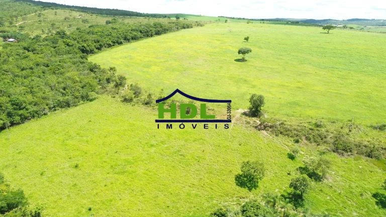 Imagem Chácara 5,5 alqs beira asfalto na Soja