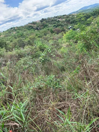Imagem CHÁCARA BARATO A VENDA , EM JUATUBA!