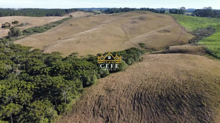 Imagem Chácara - Sítio com 3 Dormitorio(s) localizado(a) no bairro Zona Rural em São Francisco de Paula / RIO GRANDE DO SUL Ref.:1504
