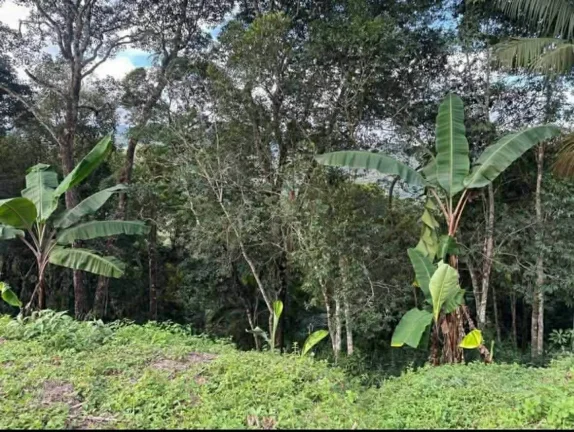 Imagem BELÍSSIMO SÍTIO COM 4 MIL METROS QUADRADOS EM ÁGUAS MORNAS