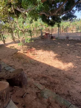 Imagem Chácara com 2 dormitórios à venda, 4800 m² - São Jacinto - São Pedro da Aldeia/RJ