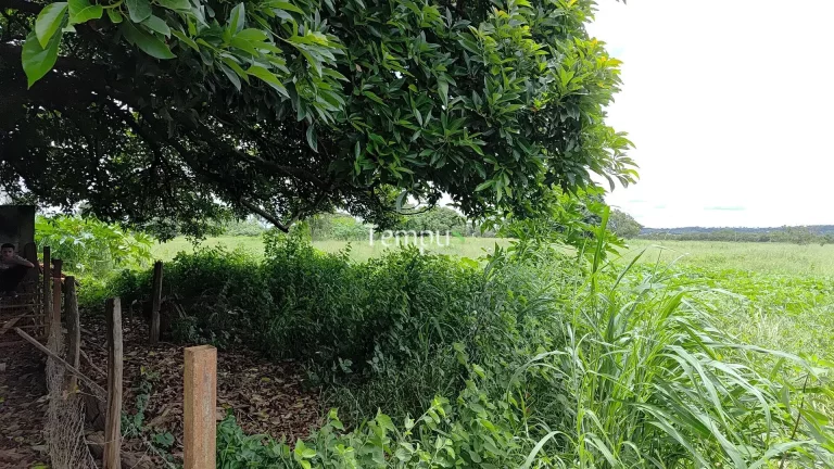 Imagem Terreno à venda no bairro Nova Fátima - Hidrolândia/GO