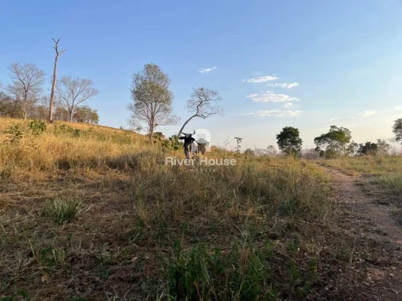 Imagem Fazenda à venda sendo 234 Hectares para Pecuaria , na Região Faval, Nossa Senhora do Livramento, MT