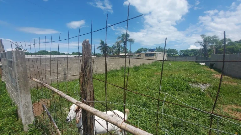 Imagem Terreno para Venda em Itanhaém, Estância Santa Cruz