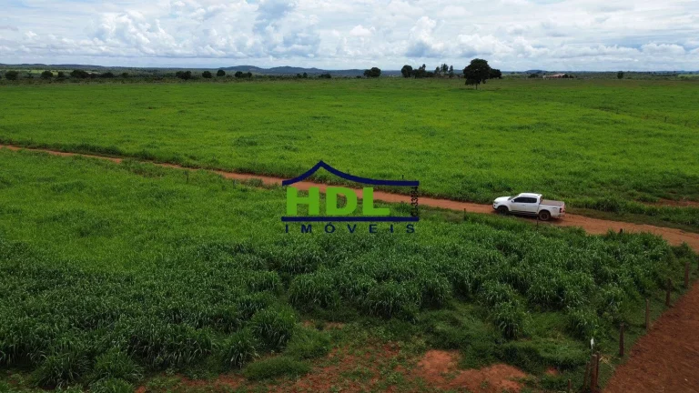 Imagem Fazenda dupla aptidão a venda em Nova Xavantina-MT