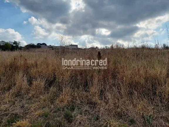 Imagem Terreno à venda Centro, Ponta Grossa - PR
