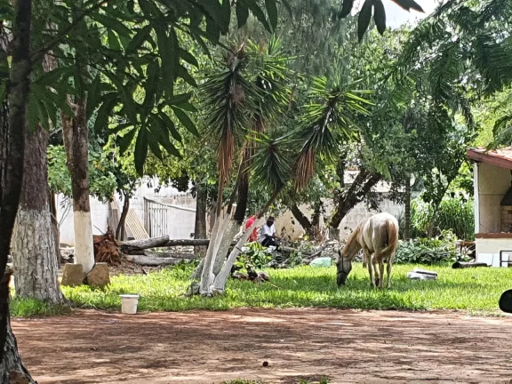 Imagem ÁREA PARA LOTEAMENTO FECHADO COM EDIFICAÇÕES NO BAIRRO GUARÁ, EM BARÃO GERALDO - CAMPINAS