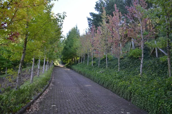 Imagem Terreno à venda, 0 m² por - R$ 12.500.000,00 - Linha Bonita - Gramado/RS