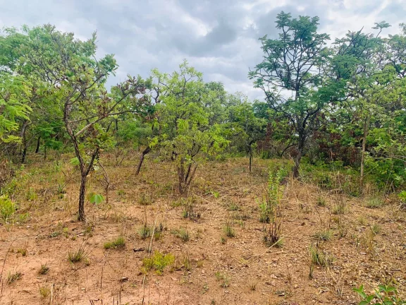 Imagem CHÁCARA DE 4.685,74M².