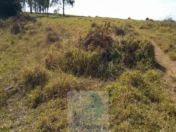 Imagem Sítio planta café 22,34 alqueires, terra vermelha, casa, água, galpão - Zona Rural - Biguatinga l de Minas Gerais
