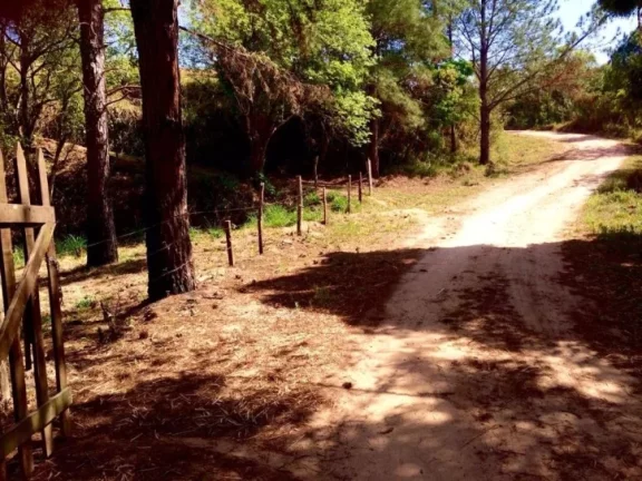 Imagem Área rural à venda, Jardim Seabra, Amparo.