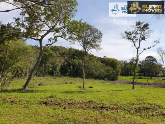 Imagem Chácara 3 hectares para Venda na BR em Cascata Pelotas-RS
