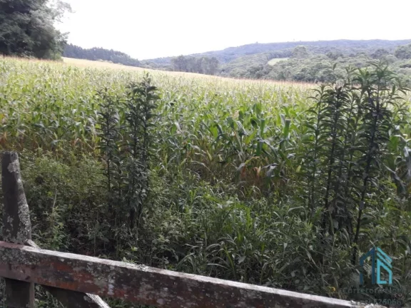 Imagem Chácara a venda, 142.134 M², Bugre, Balsa Nova PR