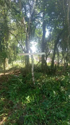 Imagem Terreno para Venda em Itanhaém, Jd Marambá
