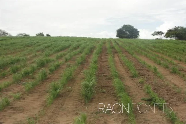 Fazenda à Venda, 1.710.000 m² em Zona Rural - São Pedro