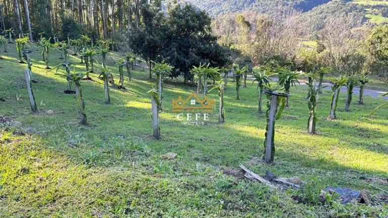 Imagem Chácara - Sítio com 4 Dormitorio(s) localizado(a) no bairro Linha Imperial em Nova Petrópolis / RIO GRANDE DO SUL Ref.:1506