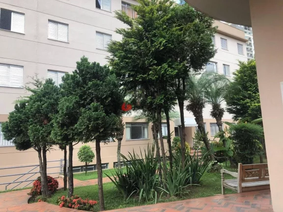 Imagem Apartamento padrão à Venda, Santa Maria, São Caetano do Sul, SP