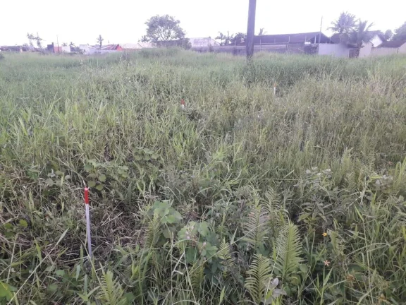 Imagem Terreno para Venda em Itanhaém, Estância Balneária de Itanhaém
