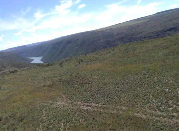 Imagem OPORTUNIDADE! FAZENDA A VENDA EM PEIXOTO (LAJE-IBIRACI)
