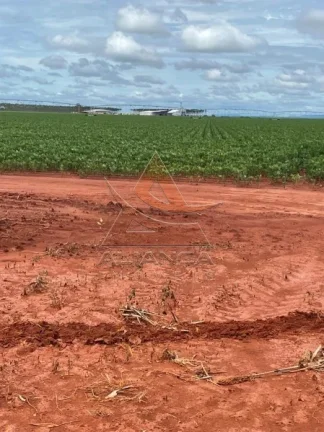 Imagem Fazenda - João Pinheiro - João Pinheiro