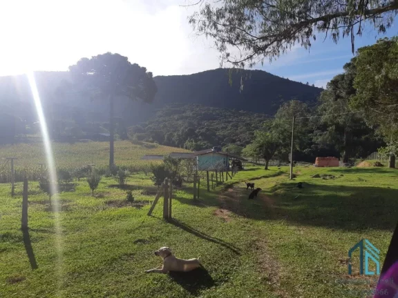 Imagem Chácara a venda, com 02 excelente Barracões novos, em Mandirituba/Tijucas do Sul PR