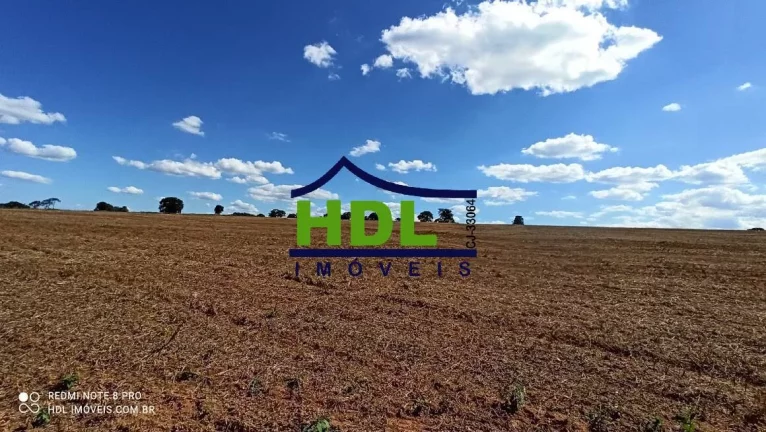 Imagem 28 alqs com 24,5 alqs em Soja.