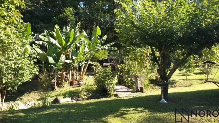 Imagem Casa no campo. Chácara para quem aprecia a natureza, mata nativa, riacho