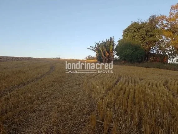 Imagem Vendo Terreno de 40.000m² Próximo a Ibiporã – Ótimo para Investimento, Loteamento, Agricultura ou Chácaras! Duas Escrituras! Agende uma Visita!