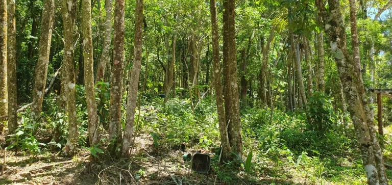 Imagem CANTINHO DOS SONHOS LOCALIZADO NO BAIRRO USINA