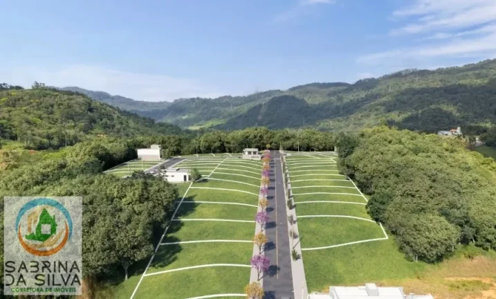 Imagem Lote/Terreno - Araponguinhas - Timbó