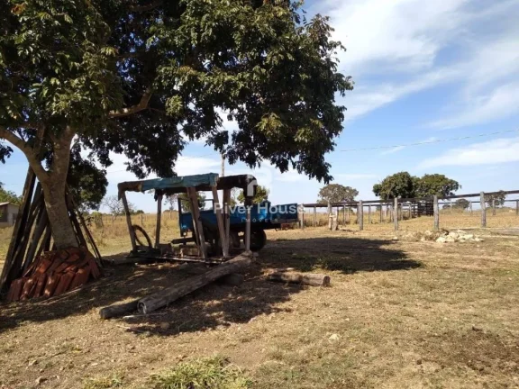 Imagem Fazenda à venda finalidade pecuaria formada, localizada na Região do Rio Manso , Chapada dos Guimarães - MT