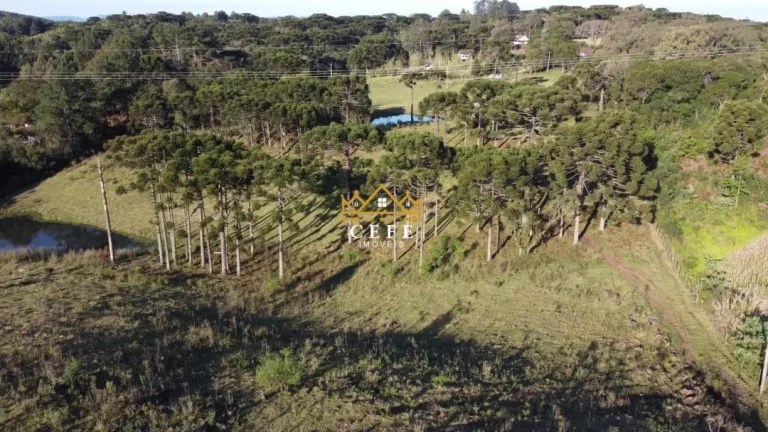 Imagem Chácara - Sítio com 3 Dormitorio(s) localizado(a) no bairro Serra Grande em Três Coroas / RIO GRANDE DO SUL Ref.:1016