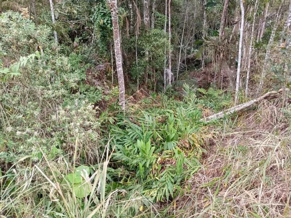 Imagem Chácaras em Santa Teresa 3000 metros