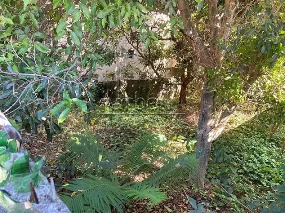 Imagem Terreno com 300 m² em localização residencial. Excelente para construção de 2 casas geminadas o...