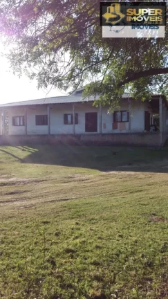 Imagem Casa Alto Padrão para Venda em Fragata Pelotas-RS - 1590