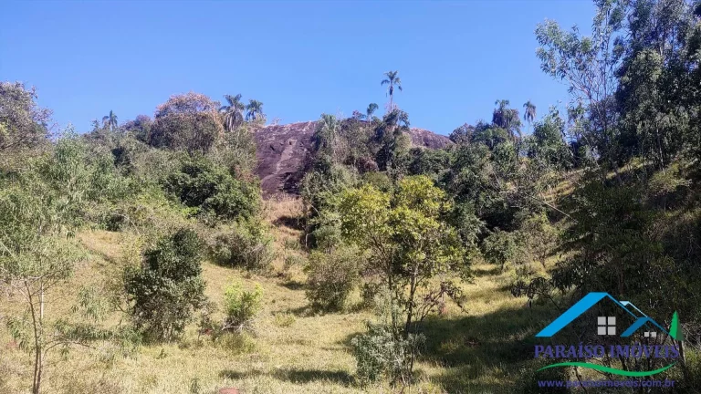 Imagem Paraíso Ecológico na Mantiqueira: 44 ha com vista espetacular e nascentes!