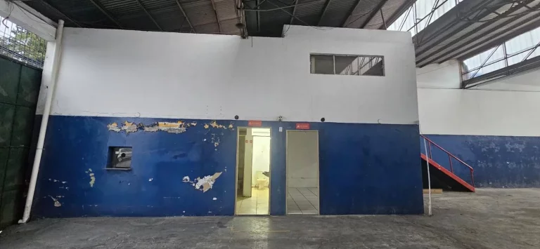 Imagem Barracão Comercial Parque Paulistano