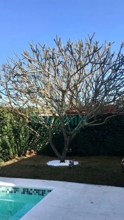 Imagem Casa para locação no Terra Bonita em Londrina/PR