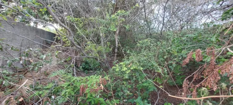 Imagem TERRENO EM GENIPABÚ, PRÓXIMO Á PRAIA
