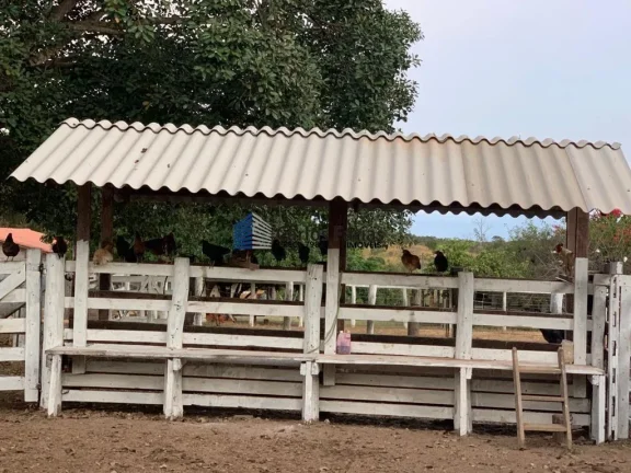 Imagem Fazenda para Venda em Mimoso de Goiás, MIMOSO GOÍAS, 6 dormitórios, 4 suítes, 5 banheiros, 4 vagas