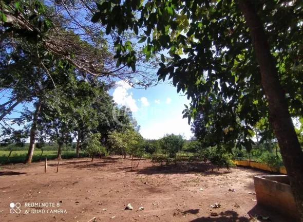Imagem Excelente Chácara, 15.5 Ha, formada,