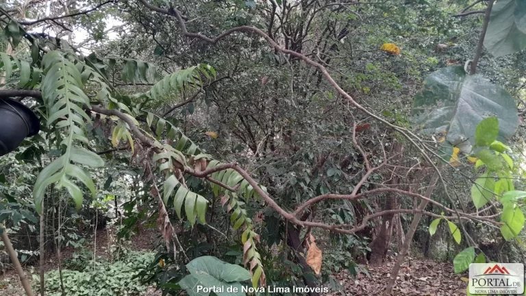 Imagem Casa com quintal a venda em Nova Lima, região central