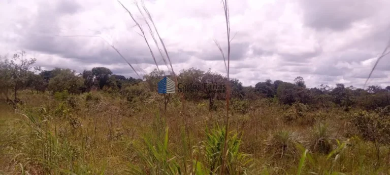 Imagem Chácara para Venda em Brasília, Setor Habitacional Jardim Botânico