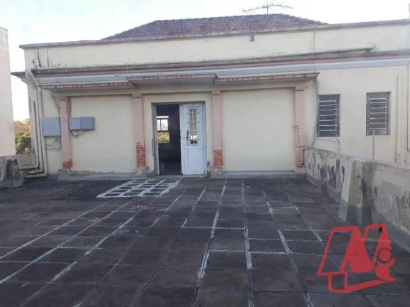 Imagem Amplo apartamento de 3 dormitórios e 1 vaga